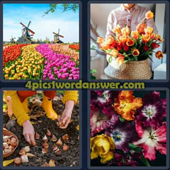 4-pics-1-word-daily-puzzle-march-15-2024