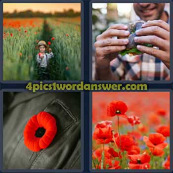 4-pics-1-word-daily-puzzle-march-16-2024