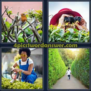 4-pics-1-word-daily-puzzle-march-18-2024