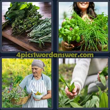 4-pics-1-word-daily-puzzle-march-20-2024