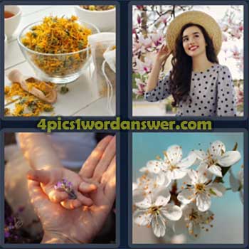 4-pics-1-word-daily-puzzle-march-21-2024