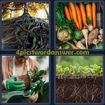 4-pics-1-word-daily-puzzle-march-23-2024