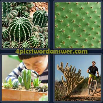 4-pics-1-word-daily-puzzle-march-25-2024