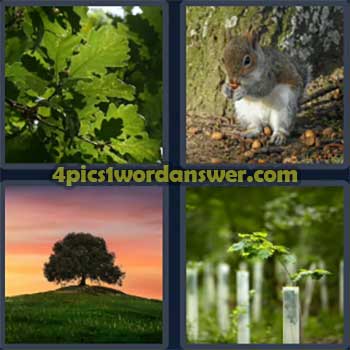 4-pics-1-word-daily-puzzle-march-26-2024