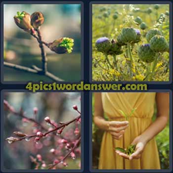 4-pics-1-word-daily-puzzle-march-29-2024