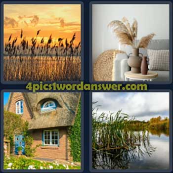 4-pics-1-word-daily-puzzle-march-30-2024