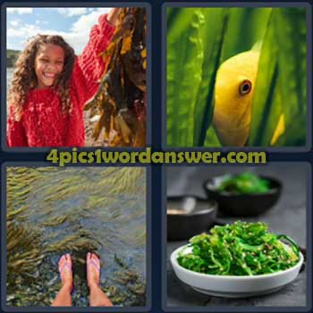 4-pics-1-word-daily-puzzle-march-31-2024