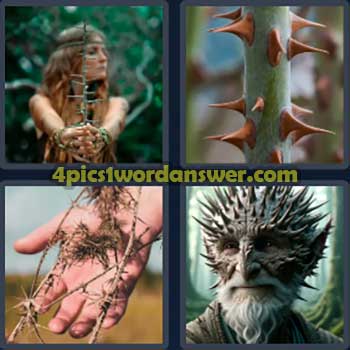 4-pics-1-word-daily-bonus-puzzle-may-25-2024