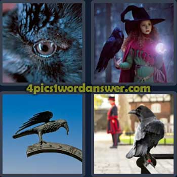 4-pics-1-word-daily-puzzle-may-18-2024