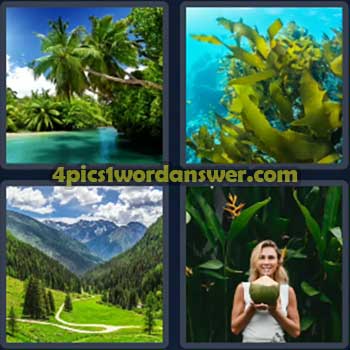 4-pics-1-word-daily-bonus-puzzle-july-4-2024