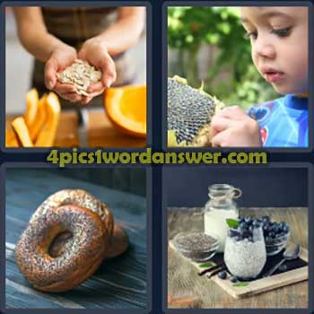 4-pics-1-word-daily-bonus-puzzle-june-13-2024