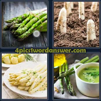 4-pics-1-word-daily-bonus-puzzle-june-9-2024