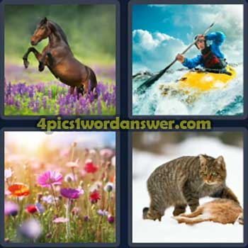 4-pics-1-word-daily-bonus-puzzle-july-22-2024