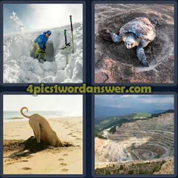 4-pics-1-word-daily-bonus-puzzle-july-26-2024