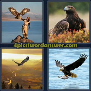 4-pics-1-word-daily-puzzle-july-18-2024