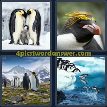 4-pics-1-word-daily-puzzle-july-21-2024