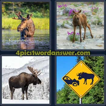 4-pics-1-word-daily-puzzle-july-24-2024