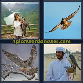 4-pics-1-word-daily-puzzle-july-30-2024