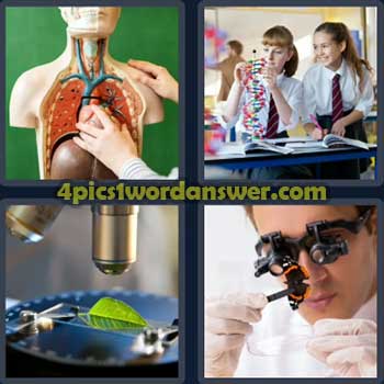 4-pics-1-word-daily-bonus-puzzle-august-11-2024