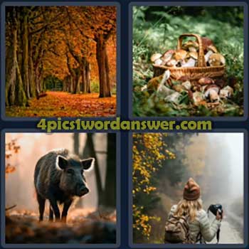 4-pics-1-word-daily-bonus-puzzle-october-1-2024