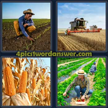 4-pics-1-word-daily-puzzle-october-1-2024