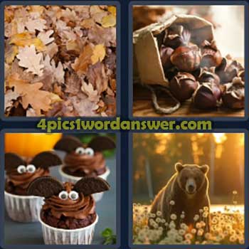 4-pics-1-word-daily-bonus-puzzle-october-12-2024