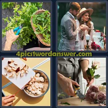 4-pics-1-word-daily-bonus-puzzle-october-20-2024