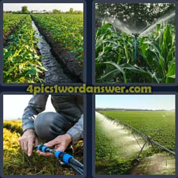 4-pics-1-word-daily-bonus-puzzle-october-26-2024