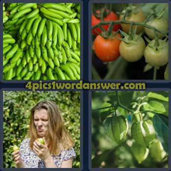 4-pics-1-word-daily-bonus-puzzle-october-30-2024