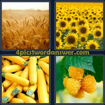 4-pics-1-word-daily-bonus-puzzle-october-6-2024