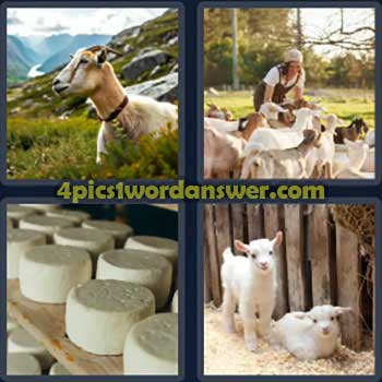 4-pics-1-word-daily-bonus-puzzle-october-8-2024