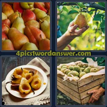 4-pics-1-word-daily-puzzle-october-17-2024