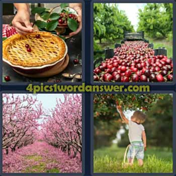 4-pics-1-word-daily-puzzle-october-21-2024