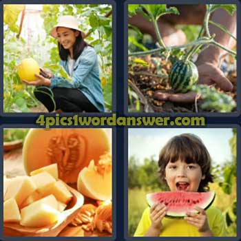 4-pics-1-word-daily-puzzle-october-23-2024