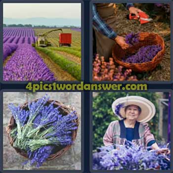 4-pics-1-word-daily-puzzle-october-26-2024