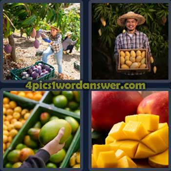 4-pics-1-word-daily-puzzle-october-29-2024