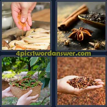 4-pics-1-word-daily-puzzle-october-31-2024