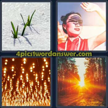 4-pics-1-word-daily-bonus-puzzle-november-14-2024