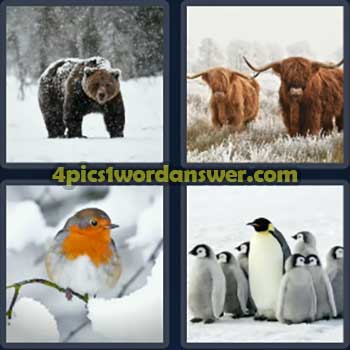 4-pics-1-word-daily-puzzle-december-4-2024