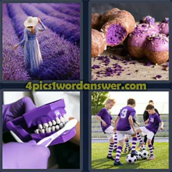 4-pics-1-word-daily-puzzle-november-8-2024