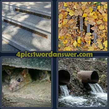 4-pics-1-word-daily-bonus-puzzle-january-9-2025