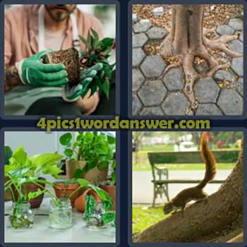 4-pics-1-word-daily-puzzle-january-10-2025