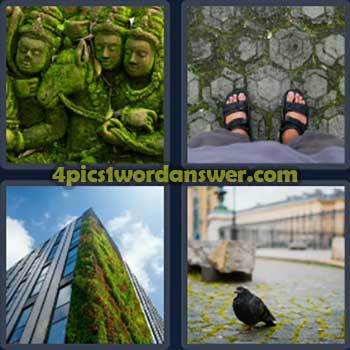 4-pics-1-word-daily-puzzle-january-8-2025